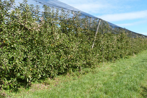 Groß- und Einzelhändler