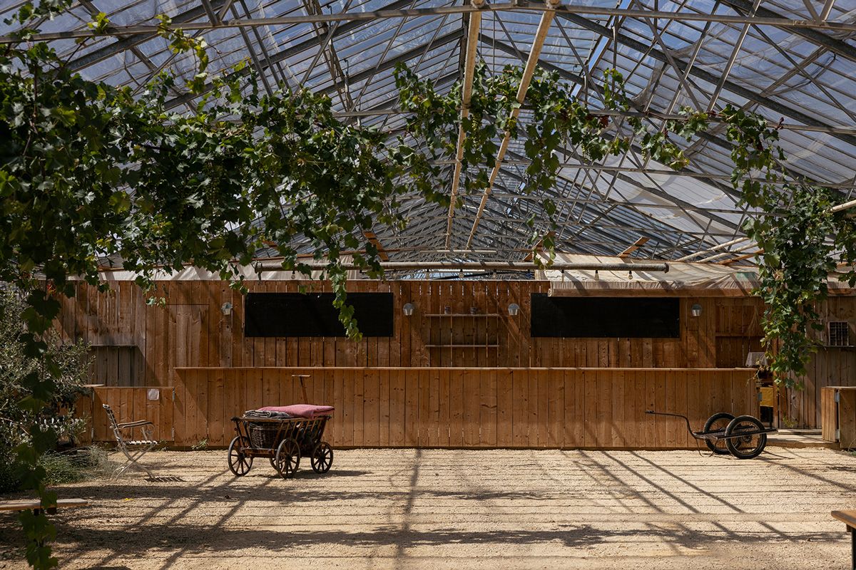 naturgut hoernle historie 2014 obstgut siegel