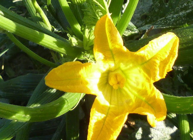 platzhalter hochkannt 660 480