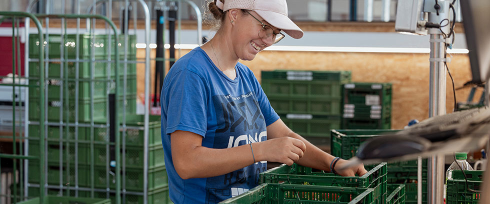 Ausbildung beim Hörnle